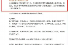 宜春为什么选择专业追讨公司来处理您的债务纠纷？